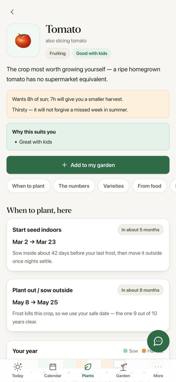 A tomato's page showing planting windows built from the garden's own last and first frost dates.