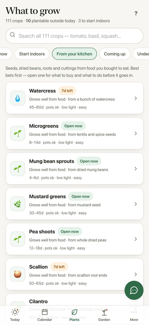 The grow-from-food list: watercress, microgreens, mung bean sprouts, mustard greens, pea shoots and scallions.